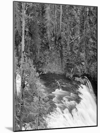 View of Yellowstone Firehole River Falls, Yellowstone National Park, Wyoming, USA-Scott T^ Smith-Mounted Photographic Print