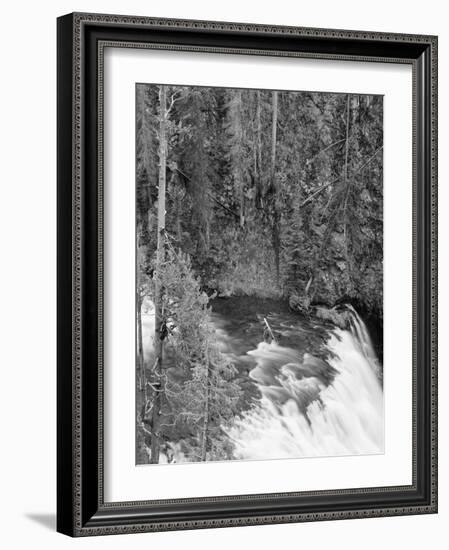 View of Yellowstone Firehole River Falls, Yellowstone National Park, Wyoming, USA-Scott T^ Smith-Framed Photographic Print