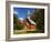 View of Yosemite Chapel in Springtime, Yosemite National Park, California, Usa-Dennis Flaherty-Framed Photographic Print