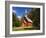 View of Yosemite Chapel in Springtime, Yosemite National Park, California, Usa-Dennis Flaherty-Framed Photographic Print