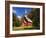 View of Yosemite Chapel in Springtime, Yosemite National Park, California, Usa-Dennis Flaherty-Framed Photographic Print