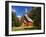 View of Yosemite Chapel in Springtime, Yosemite National Park, California, Usa-Dennis Flaherty-Framed Photographic Print