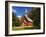 View of Yosemite Chapel in Springtime, Yosemite National Park, California, Usa-Dennis Flaherty-Framed Photographic Print