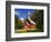 View of Yosemite Chapel in Springtime, Yosemite National Park, California, Usa-Dennis Flaherty-Framed Photographic Print