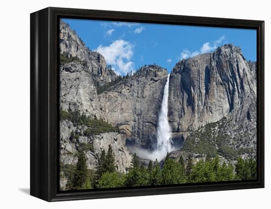 View of Yosemite Falls in Spring, Yosemite National Park, California, USA-null-Framed Premier Image Canvas