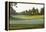 View on a Golf Course with Ground Fog, Praia D'El Rey, Atlantic Coast-Axel Schmies-Framed Premier Image Canvas