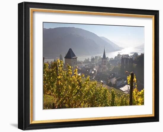 View on Bacharach with Peters Church and River Rhine, Rhineland-Palatinate, Germany-Peter Adams-Framed Photographic Print