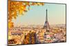 View on Eiffel Tower at Sunset, Paris, France-S Borisov-Mounted Photographic Print