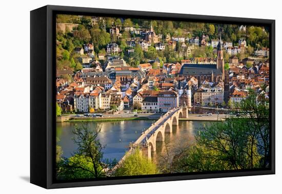 View on Heidelberg at Spring, Germany-sborisov-Framed Premier Image Canvas