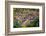 View on Heidelberg at Spring, Germany-sborisov-Framed Photographic Print