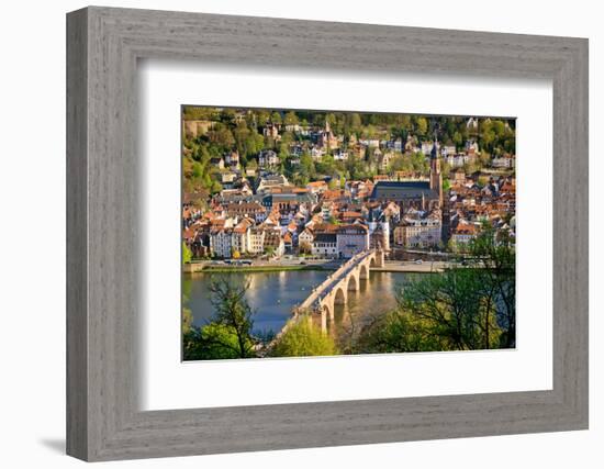 View on Heidelberg at Spring, Germany-sborisov-Framed Photographic Print