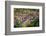 View on Heidelberg at Spring, Germany-sborisov-Framed Photographic Print