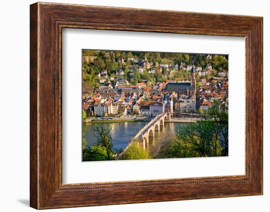 View on Heidelberg at Spring, Germany-sborisov-Framed Photographic Print