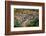 View on Heidelberg at Spring, Germany-sborisov-Framed Photographic Print