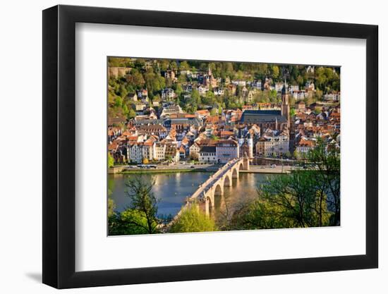 View on Heidelberg at Spring, Germany-sborisov-Framed Photographic Print