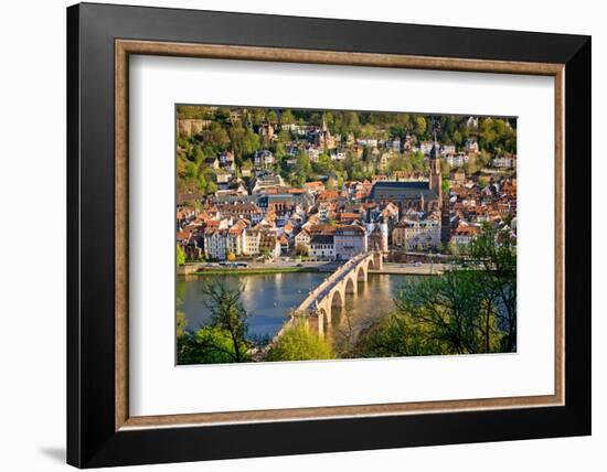View on Heidelberg at Spring, Germany-sborisov-Framed Photographic Print