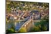 View on Heidelberg at Spring, Germany-sborisov-Mounted Photographic Print