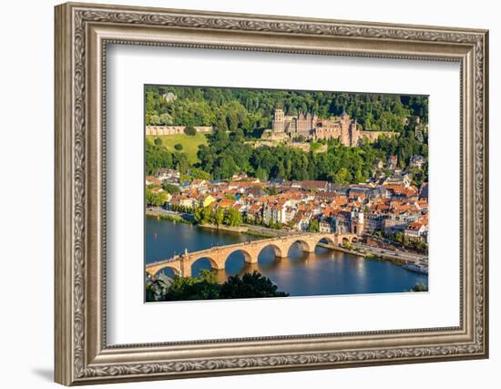 View on Heidelberg, Germany-sborisov-Framed Photographic Print