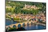 View on Heidelberg, Germany-sborisov-Mounted Photographic Print