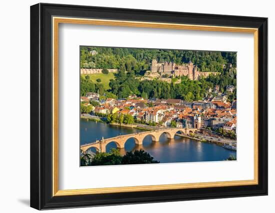 View on Heidelberg, Germany-sborisov-Framed Photographic Print