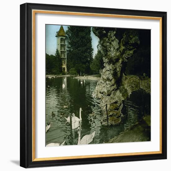 View on the Lake of the Jardin D'Acclimatation, Paris (XVIth Arrondissement), Circa 1895-Leon, Levy et Fils-Framed Photographic Print