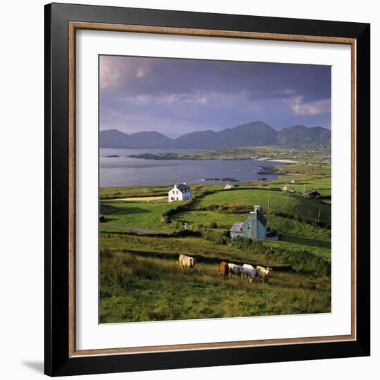 View over Allihies and Ballydonegan Bay, Beara Peninsula, County Cork, Munster, Republic of Ireland-Stuart Black-Framed Photographic Print