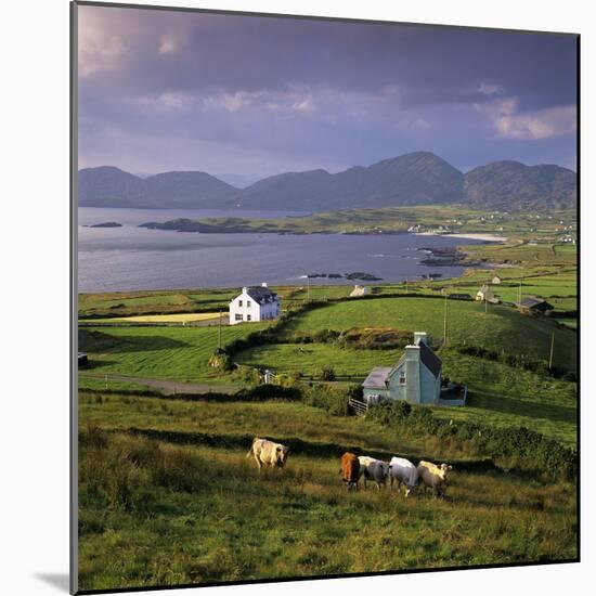 View over Allihies and Ballydonegan Bay, Beara Peninsula, County Cork, Munster, Republic of Ireland-Stuart Black-Mounted Photographic Print