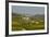 View over Barolo Village and Vineyards, Langhe, Cuneo District, Piedmont, Italy, Europe-Yadid Levy-Framed Photographic Print