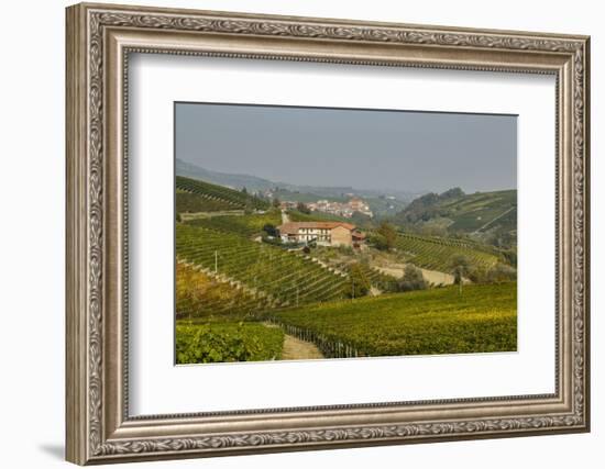 View over Barolo Village and Vineyards, Langhe, Cuneo District, Piedmont, Italy, Europe-Yadid Levy-Framed Photographic Print