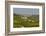 View over Barolo Village and Vineyards, Langhe, Cuneo District, Piedmont, Italy, Europe-Yadid Levy-Framed Photographic Print