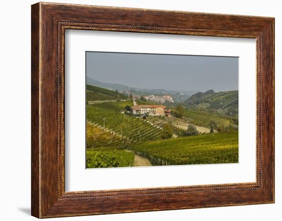 View over Barolo Village and Vineyards, Langhe, Cuneo District, Piedmont, Italy, Europe-Yadid Levy-Framed Photographic Print