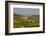 View over Barolo Village and Vineyards, Langhe, Cuneo District, Piedmont, Italy, Europe-Yadid Levy-Framed Photographic Print