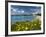 View over Beach in Spring, Fontane Bianche, Near Siracusa, Sicily, Italy, Mediterranean, Europe-Stuart Black-Framed Photographic Print