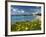 View over Beach in Spring, Fontane Bianche, Near Siracusa, Sicily, Italy, Mediterranean, Europe-Stuart Black-Framed Photographic Print