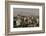 View over buildings from city centre towards Alborz Mountains, Tehran, Iran, Middle East-James Strachan-Framed Photographic Print