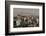 View over buildings from city centre towards Alborz Mountains, Tehran, Iran, Middle East-James Strachan-Framed Photographic Print