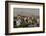 View over buildings from city centre towards Alborz Mountains, Tehran, Iran, Middle East-James Strachan-Framed Photographic Print