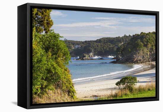 View over Butterfield Beach, Halfmoon Bay, Oban, Stewart Island, Southland, South Island, New Zeala-Ruth Tomlinson-Framed Premier Image Canvas