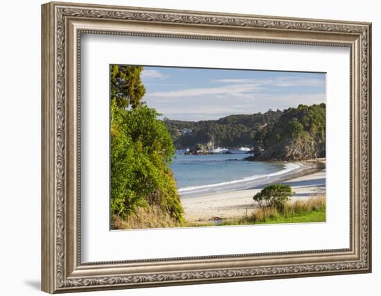 View over Butterfield Beach, Halfmoon Bay, Oban, Stewart Island, Southland, South Island, New Zeala-Ruth Tomlinson-Framed Photographic Print