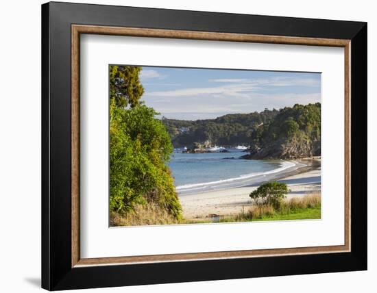 View over Butterfield Beach, Halfmoon Bay, Oban, Stewart Island, Southland, South Island, New Zeala-Ruth Tomlinson-Framed Photographic Print