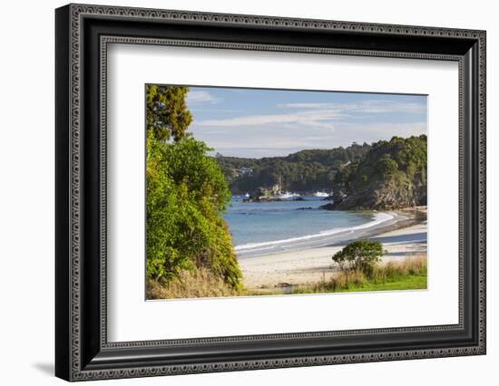 View over Butterfield Beach, Halfmoon Bay, Oban, Stewart Island, Southland, South Island, New Zeala-Ruth Tomlinson-Framed Photographic Print