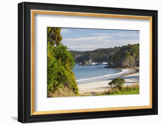 View over Butterfield Beach, Halfmoon Bay, Oban, Stewart Island, Southland, South Island, New Zeala-Ruth Tomlinson-Framed Photographic Print