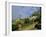 View Over City from the Public Gardens, Taormina, Sicily, Italy, Europe-Sheila Terry-Framed Photographic Print