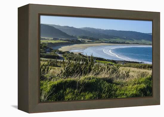 View over Curio Bay, the Catlins, South Island, New Zealand, Pacific-Michael-Framed Premier Image Canvas