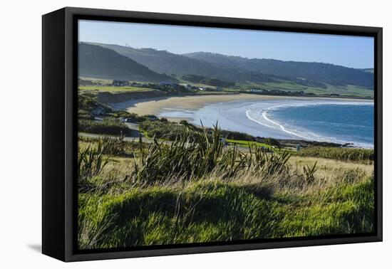 View over Curio Bay, the Catlins, South Island, New Zealand, Pacific-Michael-Framed Premier Image Canvas