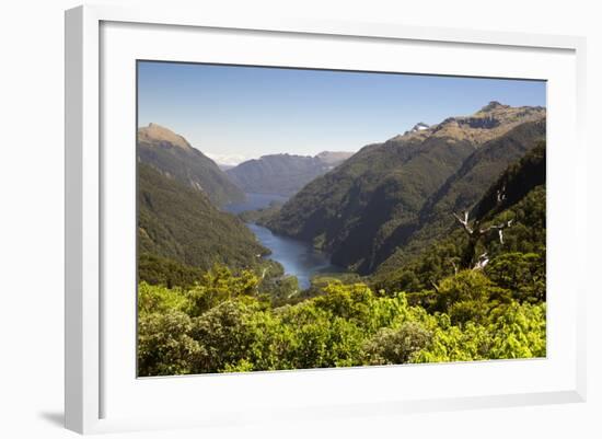 View over Deep Cove, Doubtful Sound, Fiordland National Park, South Island, New Zealand, Pacific-Stuart Black-Framed Photographic Print