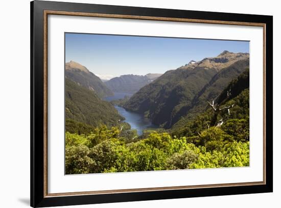 View over Deep Cove, Doubtful Sound, Fiordland National Park, South Island, New Zealand, Pacific-Stuart Black-Framed Photographic Print