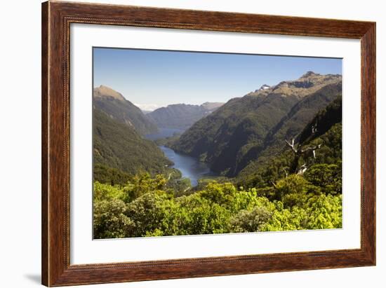 View over Deep Cove, Doubtful Sound, Fiordland National Park, South Island, New Zealand, Pacific-Stuart Black-Framed Photographic Print