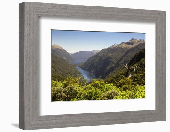 View over Deep Cove, Doubtful Sound, Fiordland National Park, South Island, New Zealand, Pacific-Stuart Black-Framed Photographic Print