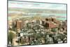 View over Dubuque, Iowa-null-Mounted Art Print